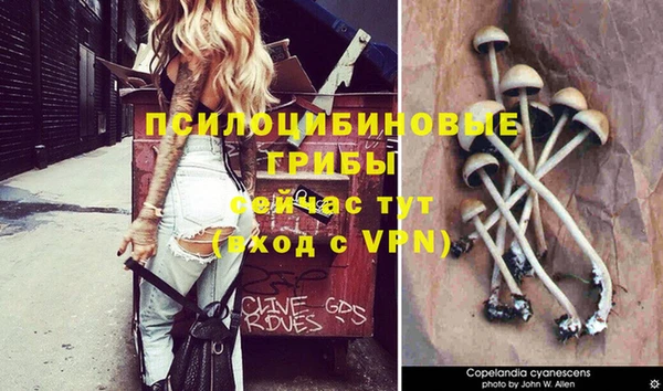 дмт Арсеньев