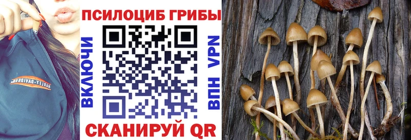 Псилоцибиновые грибы ЛСД  что такое наркотик  Шахты 